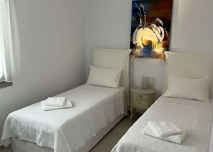 Villa Eidolion Essence -cycladic With Private Plunge Pool For 10 Guests Panormos (Mykonos)